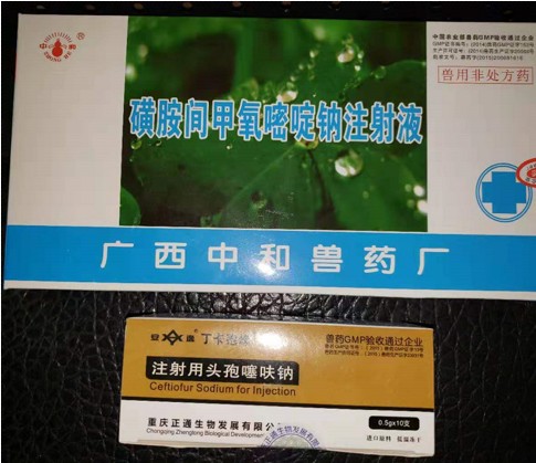 热毒消炎康和头孢.jpg