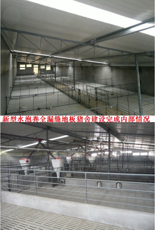 新型水泡粪全漏缝地板猪舍建设完成内部情况.jpg