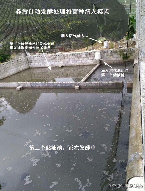 粪污自动发酵处理将菌种滴入模式.jpg