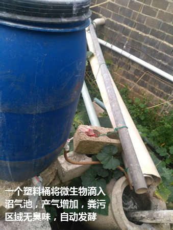 武鸣区现代生态猪场4.png