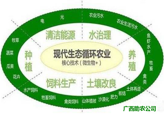 微生物+生态循环农业2.png