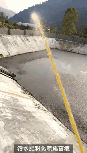 畜禽流体粪污快速发酵剂激活处理污水边液态有机肥现场3.gif