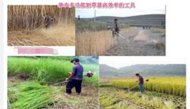 QQ截图20200614110607.png