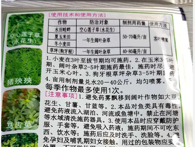 进宝2.png