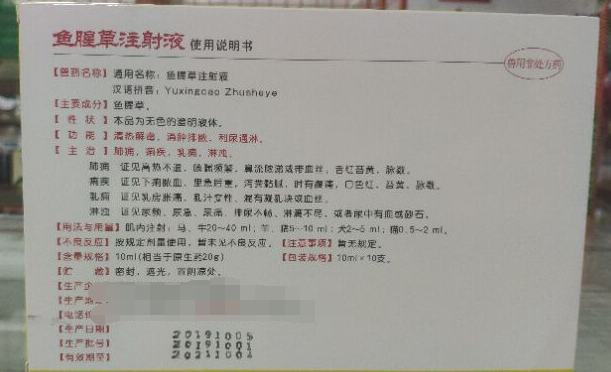鱼腥草2.png