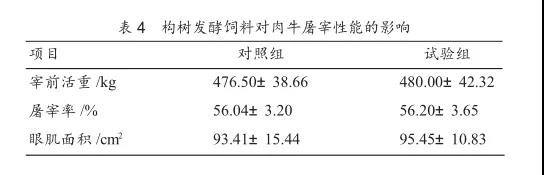1597199152573785.jpg