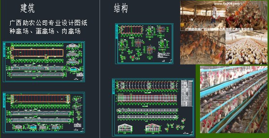 家禽养殖场建设1.jpg