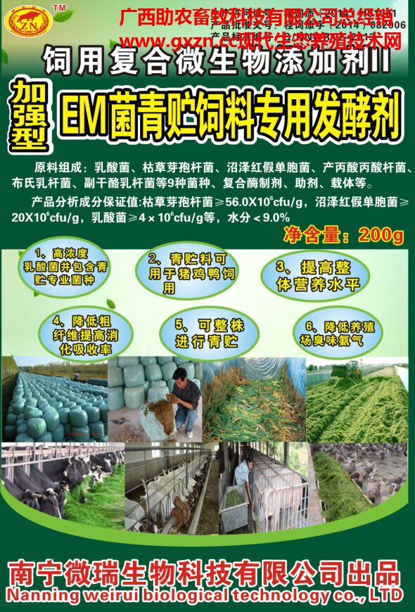 青贮.jpg