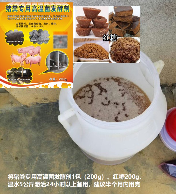 猪粪专用高温菌发酵剂菌种激活.jpg
