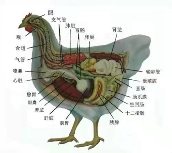 微信图片_20210302161838.jpg