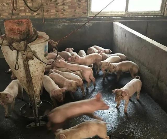 微信图片_20210317142855.jpg