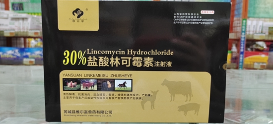 微信图片_20210330154606.jpg