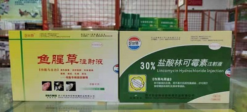 鱼.jpg