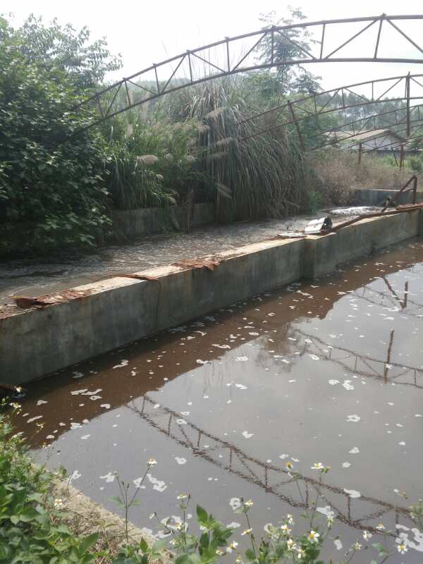 使用畜禽流体粪污快速发酵剂两个池对比图.jpg