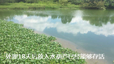 养殖场污水处理步骤10.png