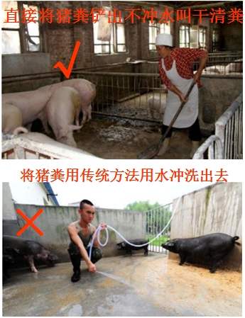 什么叫干清粪.jpg