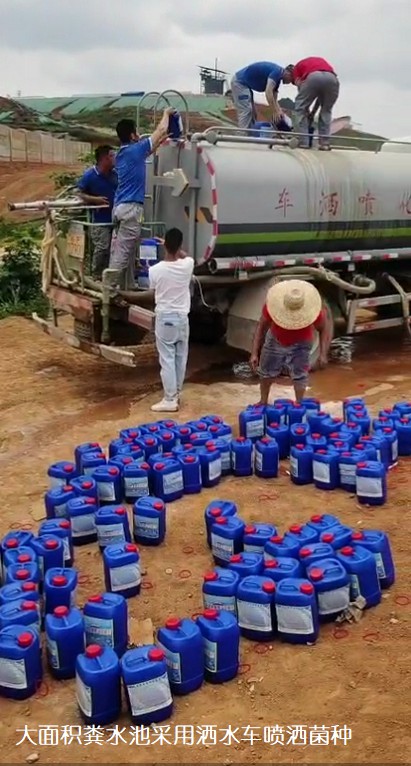 大面积粪水池采用洒水车喷洒菌种.jpg
