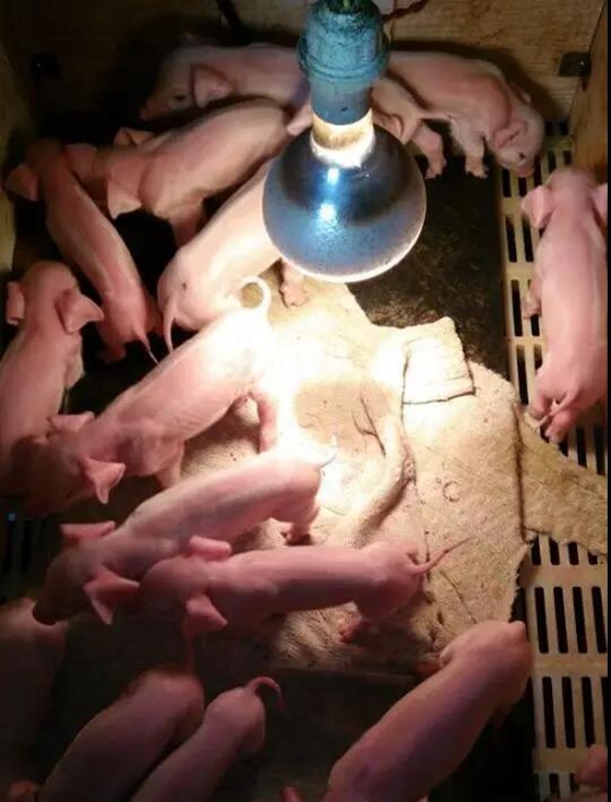 微信图片_20210510151620.jpg