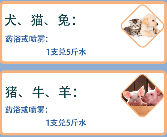 微信图片_20210520153706.png