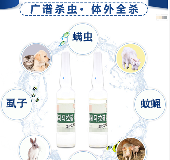 微信图片_20210520154628.png