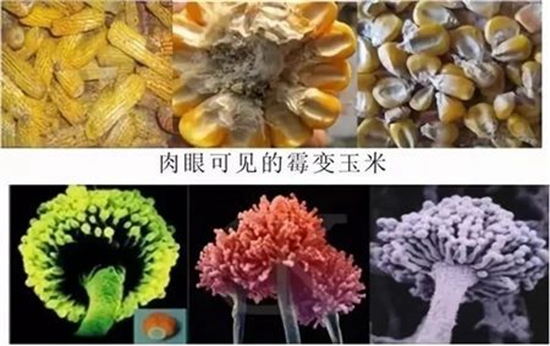 微信图片_20210618132412.jpg
