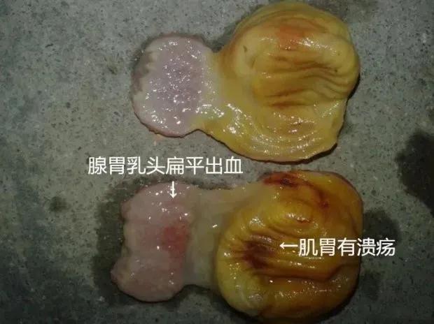 微信图片_20210729101428.jpg