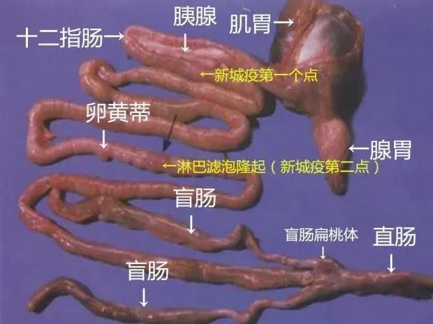 微信图片_20210729101602.jpg