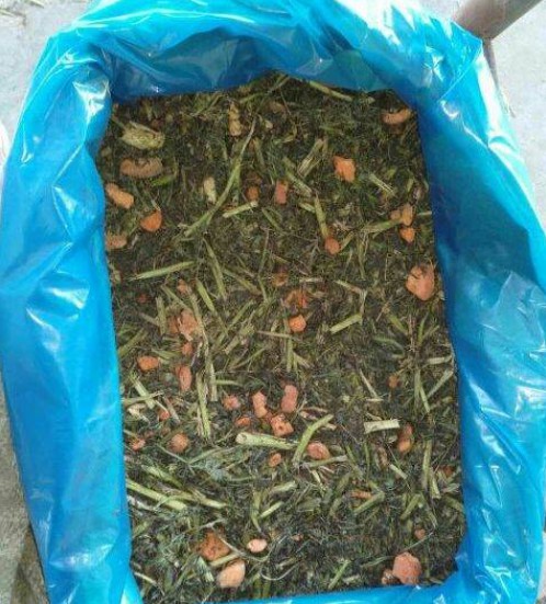 胡萝卜秧袋装青贮含大量碎胡萝卜3.jpg