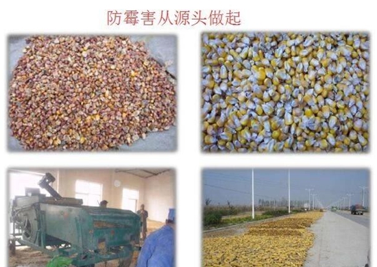 微信图片_20211012124659.jpg