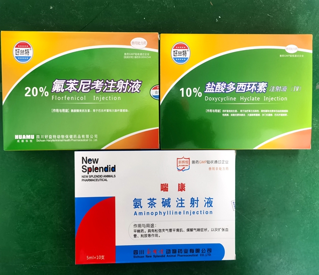 微信图片_2021101216205014.jpg