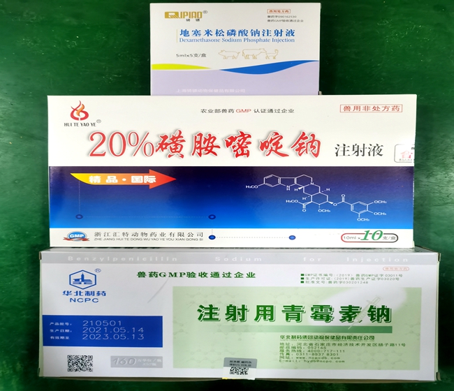 微信图片_202110121620501.jpg