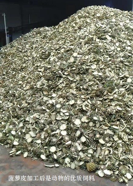 菠萝皮加工后是动物的优质饲料1.jpg