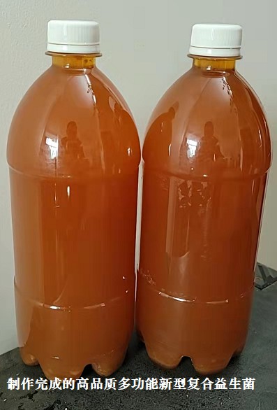 制作完成的高品质多功能新型复合益生菌3.jpg