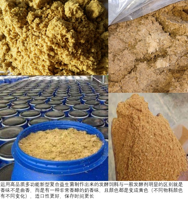 使用高品质多功能新型复合益生菌制作出来的发酵饲料为黄色.jpg