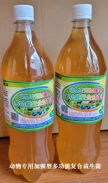 动物专用加强型多功能复合益生菌.jpg