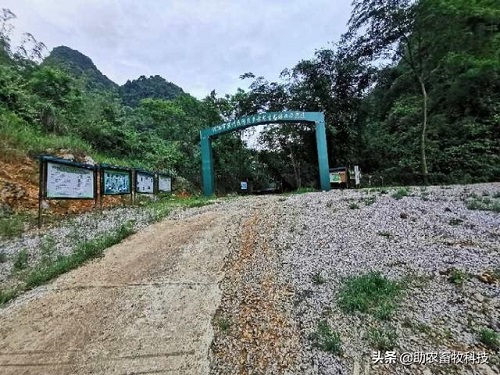 大门.jpg