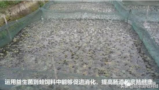 QQ截图20220221113543.jpg