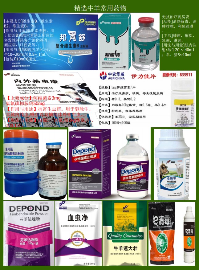 助农牛羊服务资料15.jpg