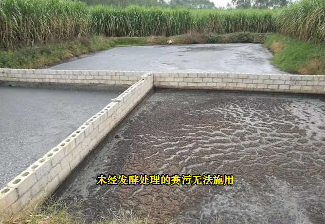 猪场猪粪经干湿分离后分别如何进行处理才能做有机肥？