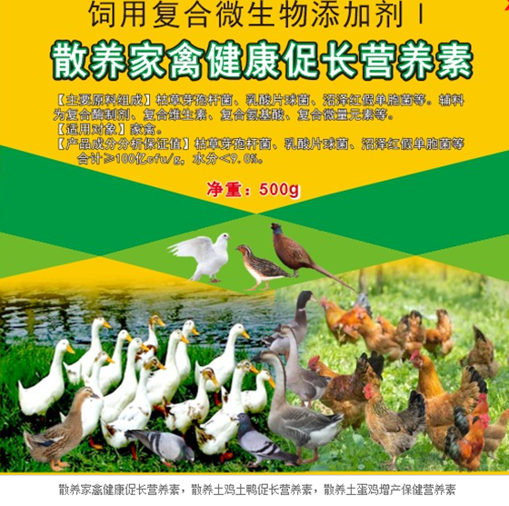 QQ图片20220704111944.png