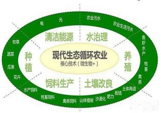 微生物+生态循环农业2.jpg