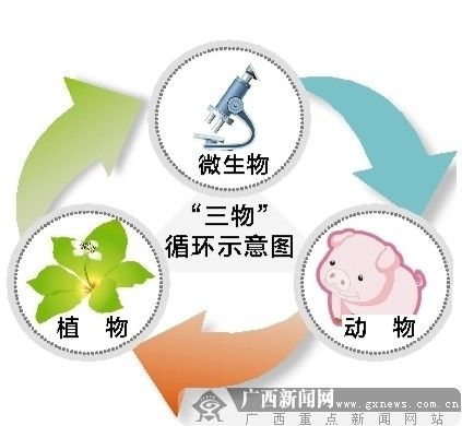 三物循环图.jpg