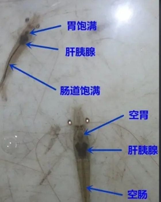 QQ图片20220719095228.png