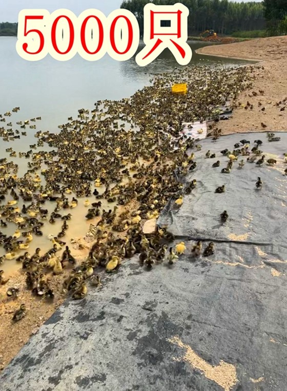 QQ图片20221006101543.jpg
