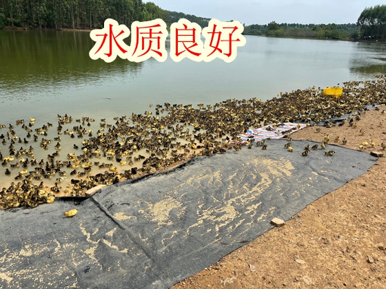 QQ图片20221006101416.jpg