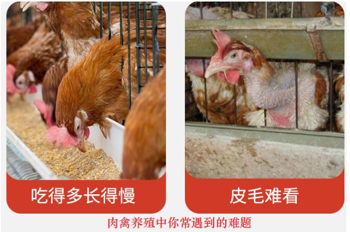 QQ截图20221018152130.jpg