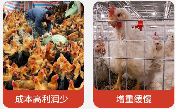 QQ截图20221018152143.jpg