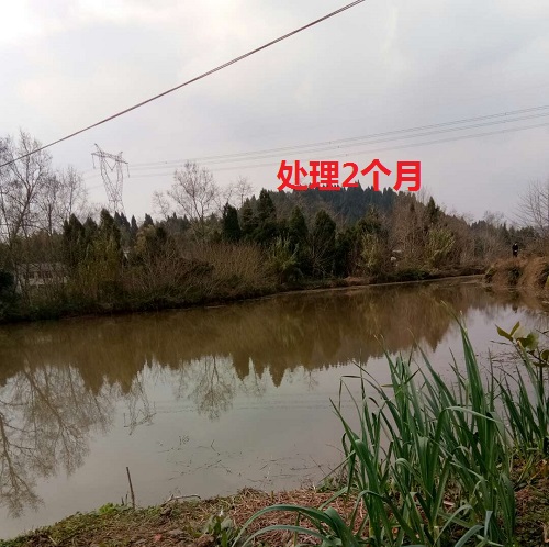 QQ图片20221219152432.jpg