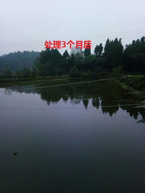 QQ图片20221219152726.jpg