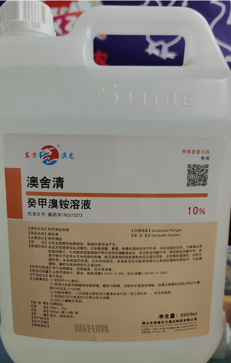 澳舍清.png
